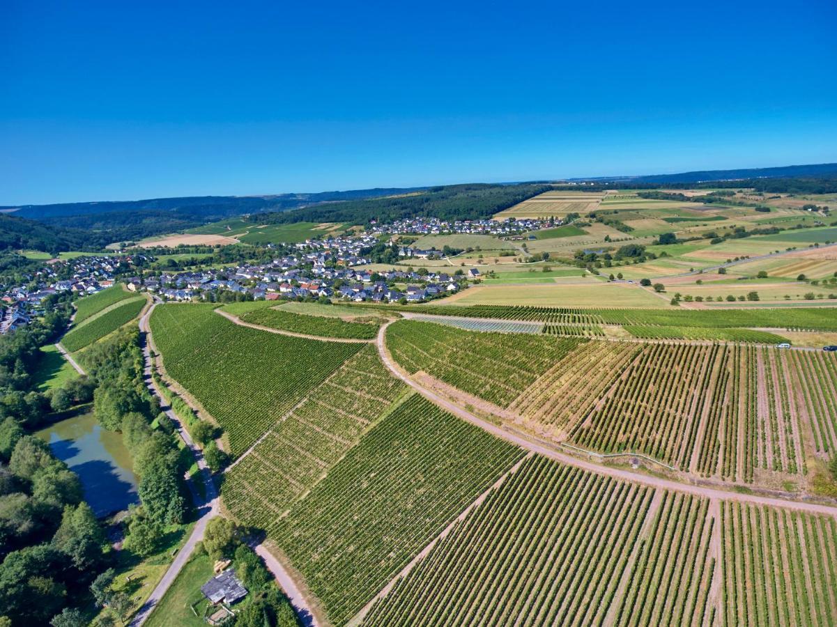 Ferienweingut Willems Oberemmel المظهر الخارجي الصورة