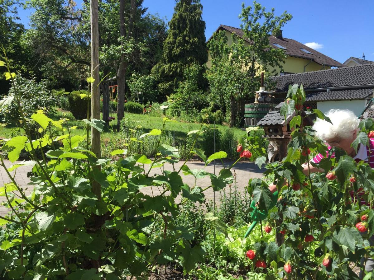 Ferienweingut Willems Oberemmel المظهر الخارجي الصورة